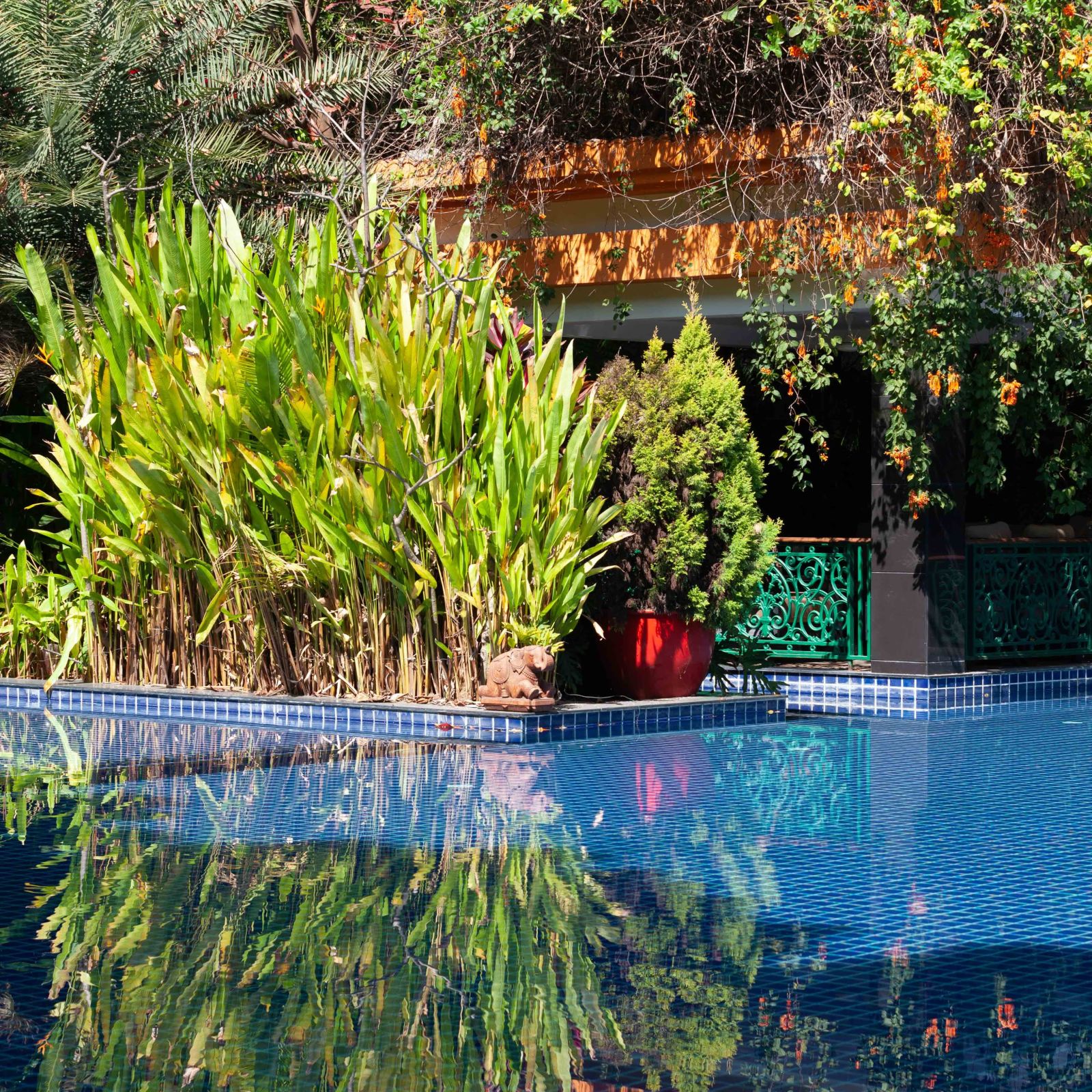 a close-up view of the swimming pool - Mayfair Lake Resort, Raipur