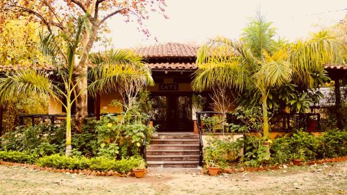 Tree House Hotel in Bandhavgarh