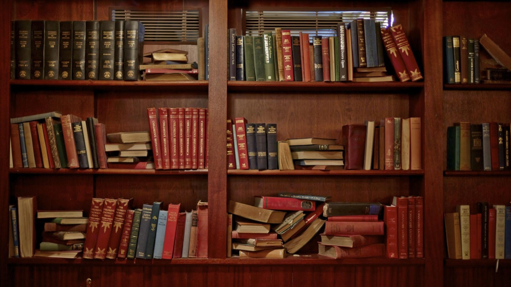 books in a brownish red bookshelf