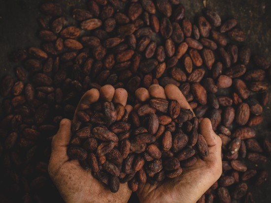 a person picking coffee beans in their palms