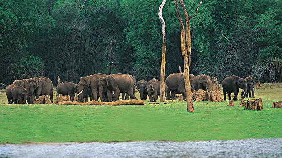 Chinnar wildlife sanctuary