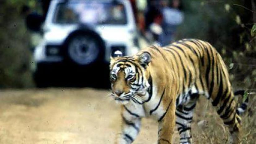 The Haveli Hari Ganga  Haridwar Location Jim Corbett National Park