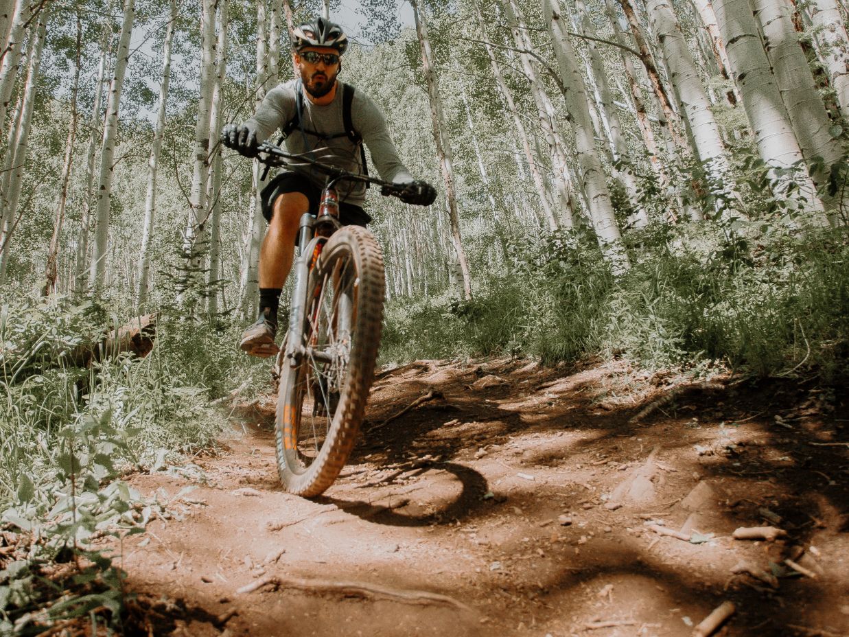 cycling in the forest