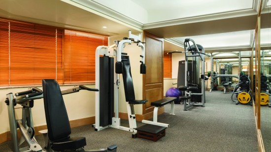 Fitness Centre at Hotel Ramada Plaza Palm Grove 422