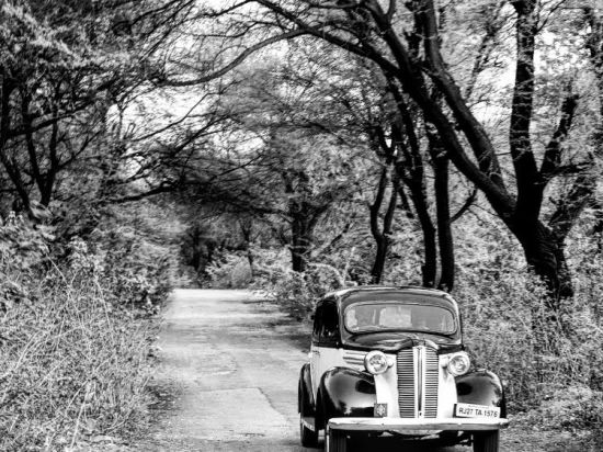 Vintage car ride 1