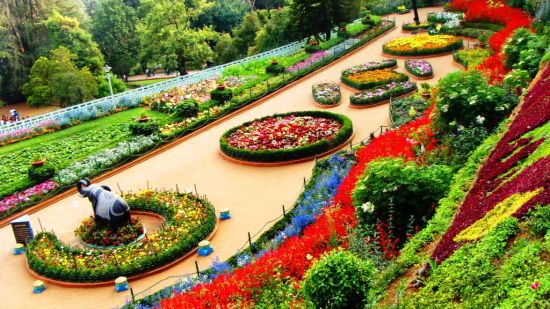 many flowers placed accurately to differentiate on the design in sims park