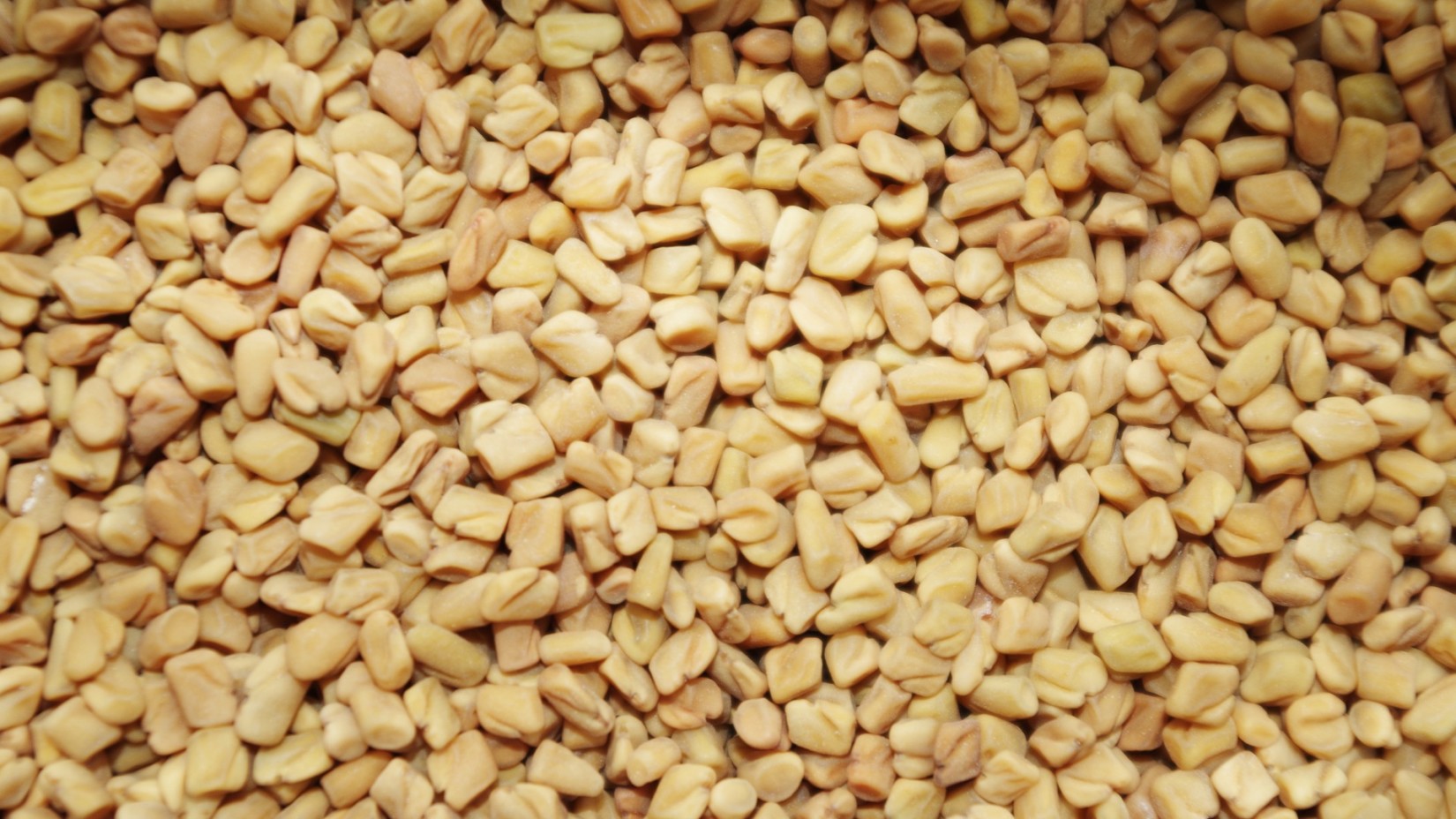 fenugreek-1049596 1920