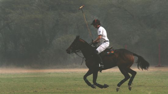 a person riding a horse on an open grass field with trees in the background