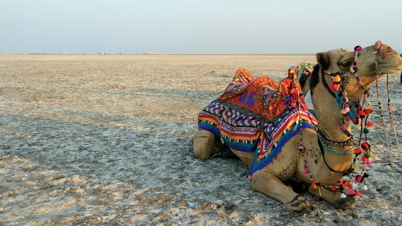 Great Rann Of Kutch