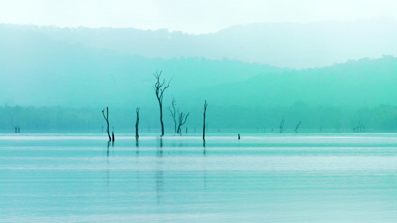 kabini