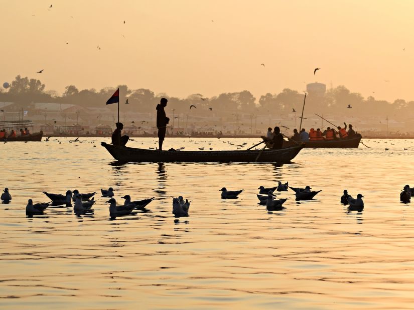 Hotel Polo Max, Allahabad - a flock of gulls swimming beside boats on a river