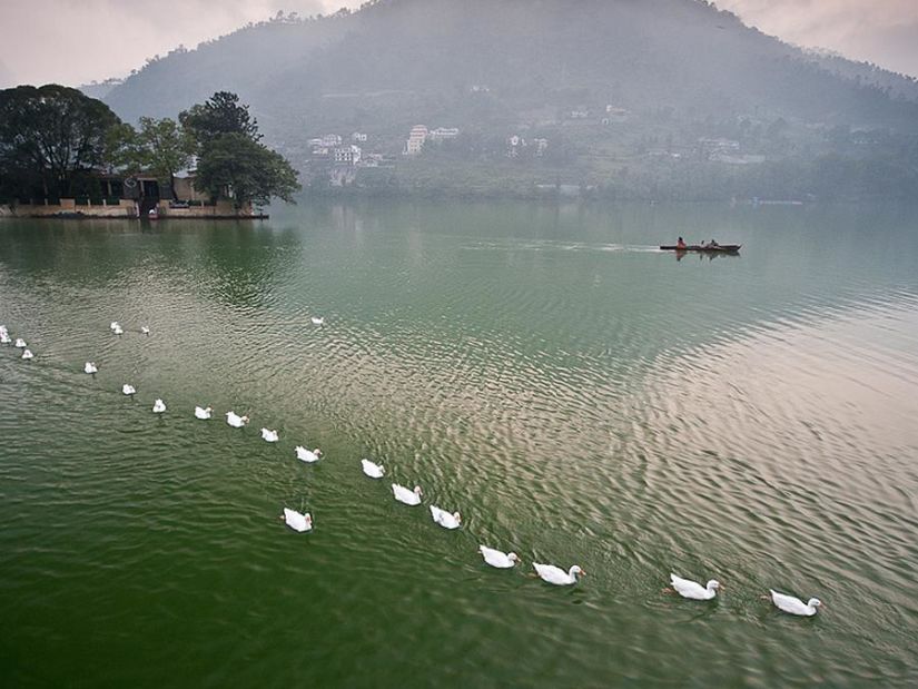 The Earl's Court, Nainital Nainital Bhimtal Nainital