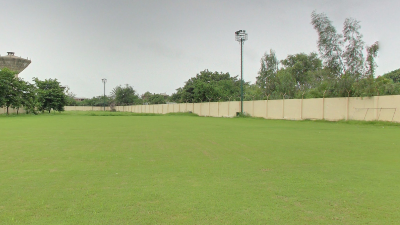 Plain lawn covered with green grass