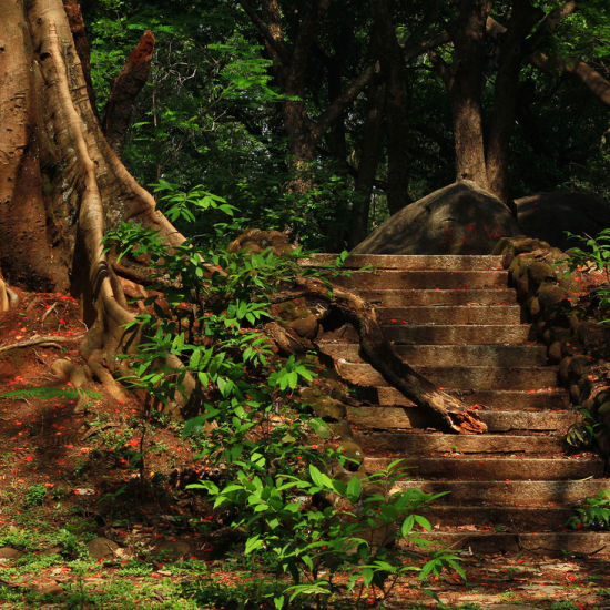 Hotel Southern Star, Bangalore Bangalore cubbon park