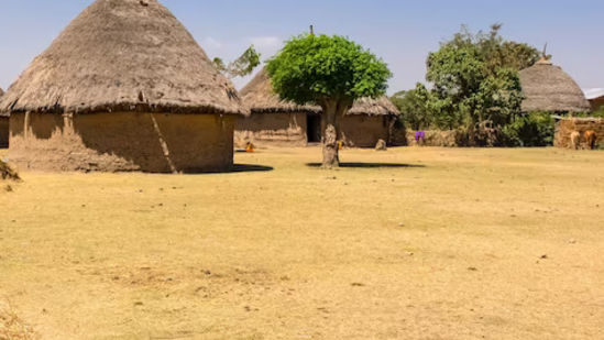 a few old village huts in an open field with blue sky in the background