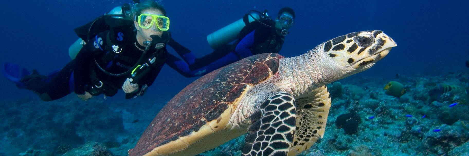 PADI Open Water Diver Course Barefoot Scuba