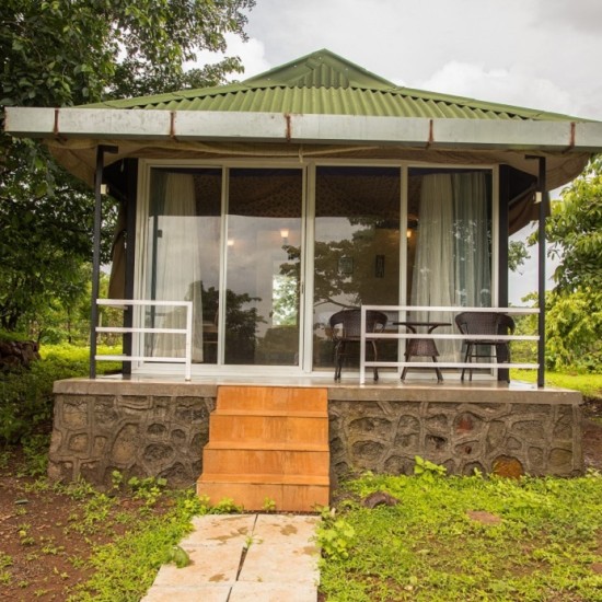 A modern glass-fronted cabin with a porch, surrounded by lush greenery.