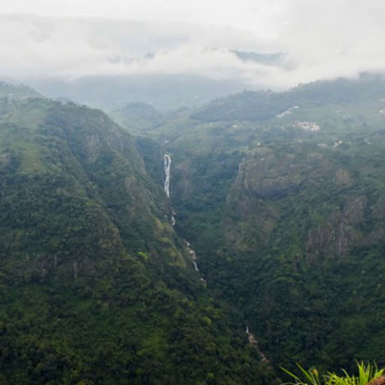 dolphins nose in view with mist covering 