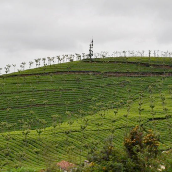 overview of lady cannings seat in coonoor