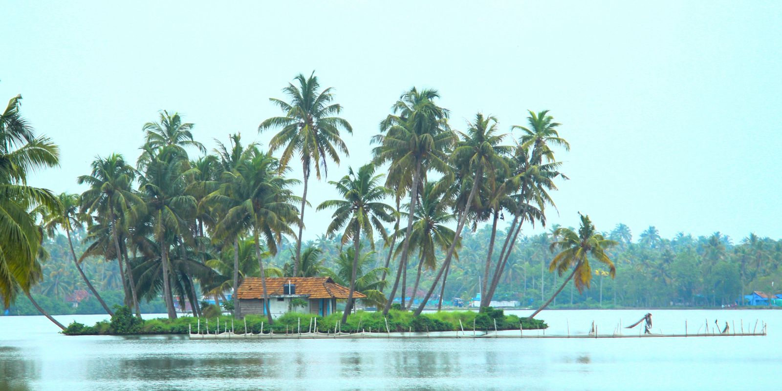 a small island with palm trees in kumarakom