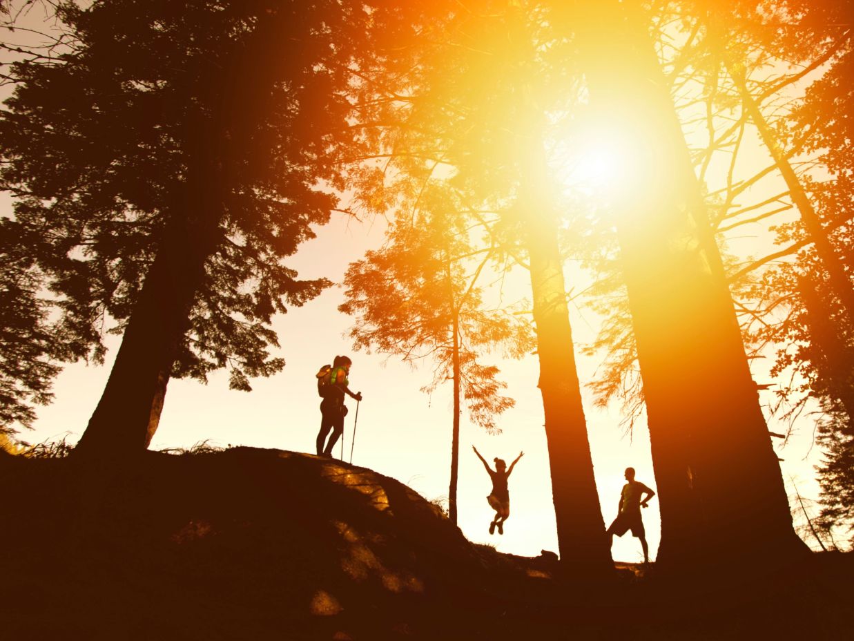 a group of people trekking