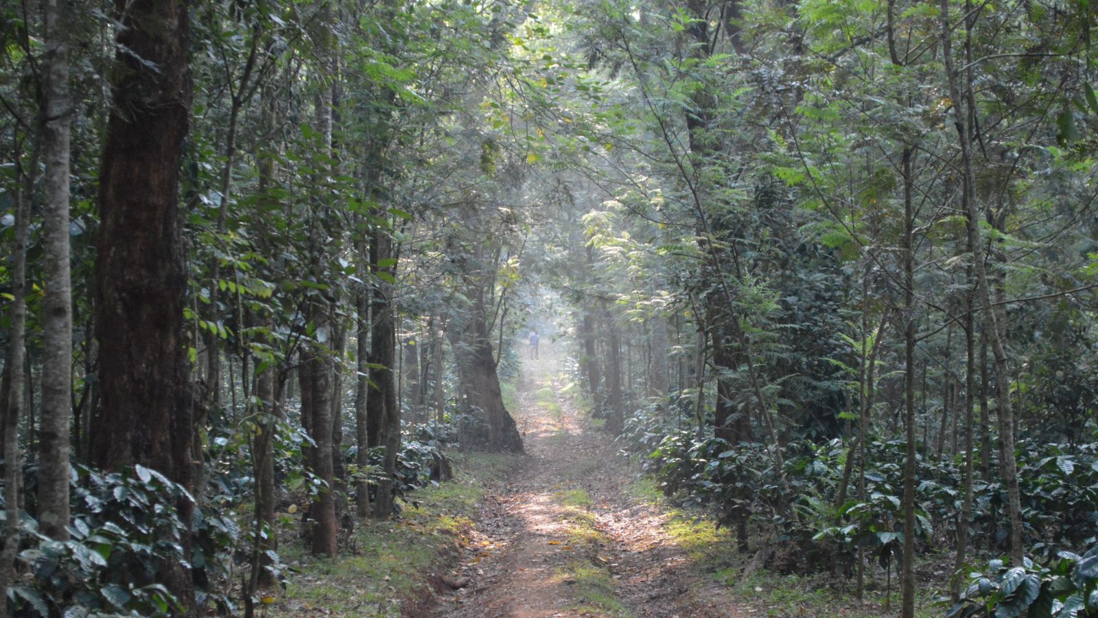 matheran 2