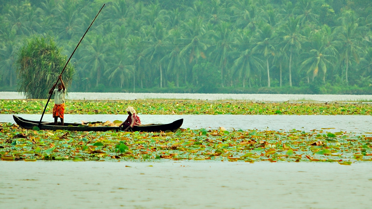 Vellayani Lake Niraamaya Retreats Surya Samudra Kovalam