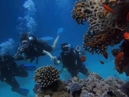 alt-text Divers surrounded by colourful corals Scuba Diving in Port Blair 