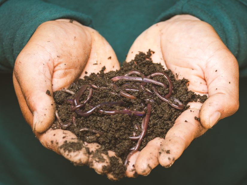 a person holding soil