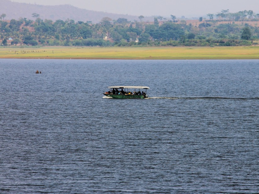 A boat in the kabini river with the kabini forest in the background