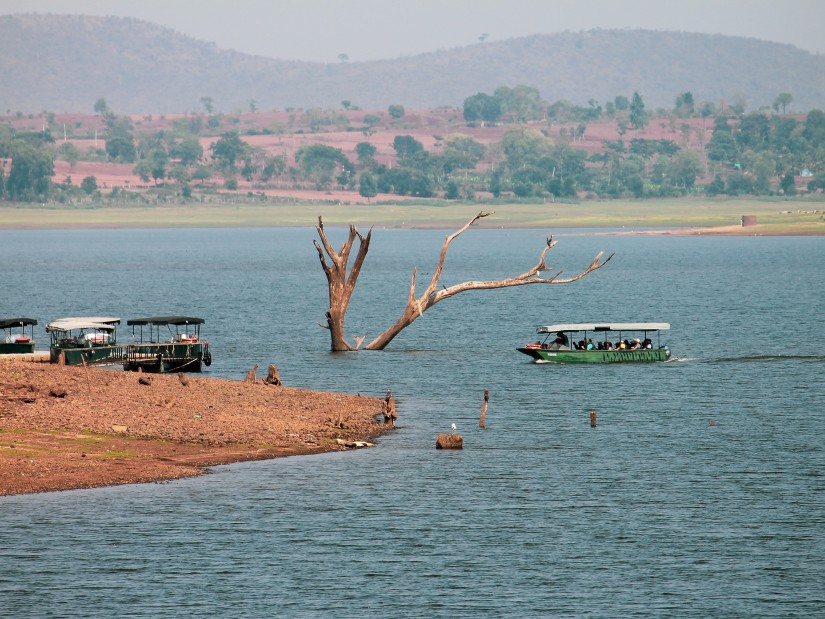 animal sighting during jungle safari at kabini 2