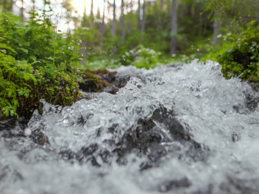 alt-text a stream of crystal clear water in a small mountain river