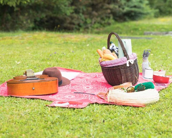 alt-text Picnic Spots for the Perfect Day