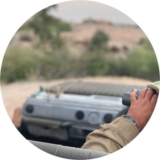 Wildlife Safari, Jawai