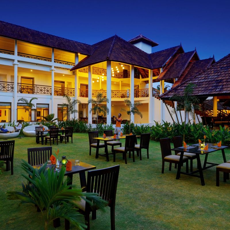 Dining chairs arranged on a green lawn