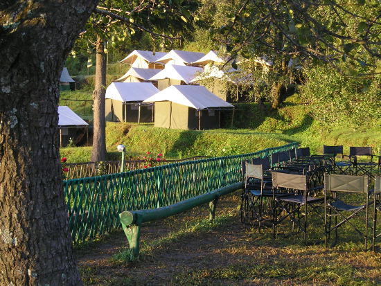 Let s Camp Sitlakhet tents