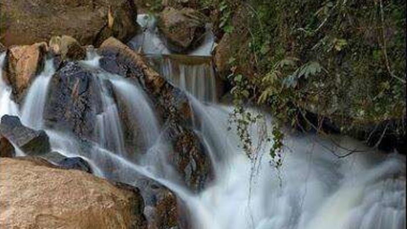 overview of lawns falls with greenery on the side 