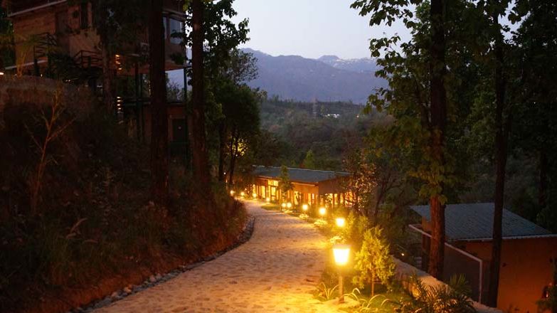 view from Tree House at The Sal Woods Forest Retreat & Spa