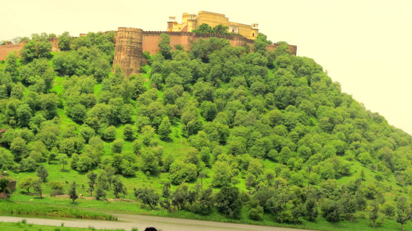 Image of a fort that is nestled in a blanket of lush greenery