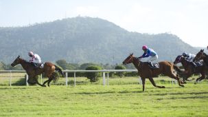 Serenity Inn Group  Mysore Turf Club