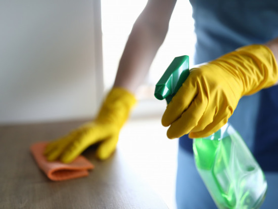 female-hands-gloves-disinfect-table-home 151013-10382