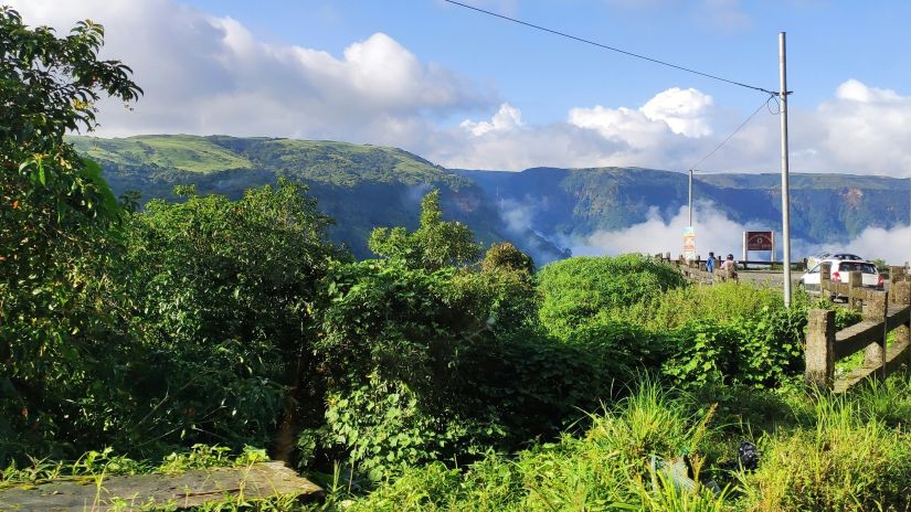 an overview of a viewpoint with vegetation in the foreground and mountains in the background