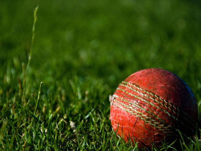 a red cricket ball lying on grass