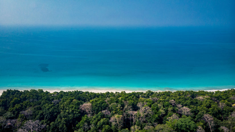 Radhanagr beach surrounded by lush greenery 