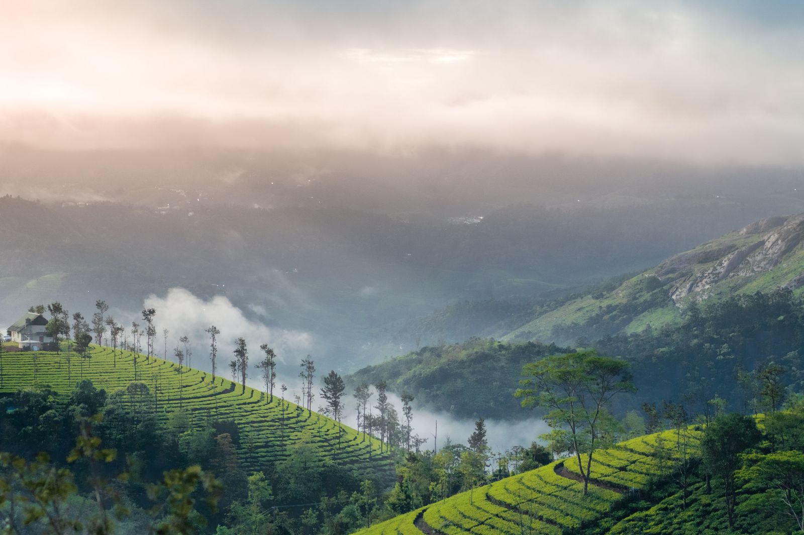 breathtaking views of the lush green tea estates in munnar