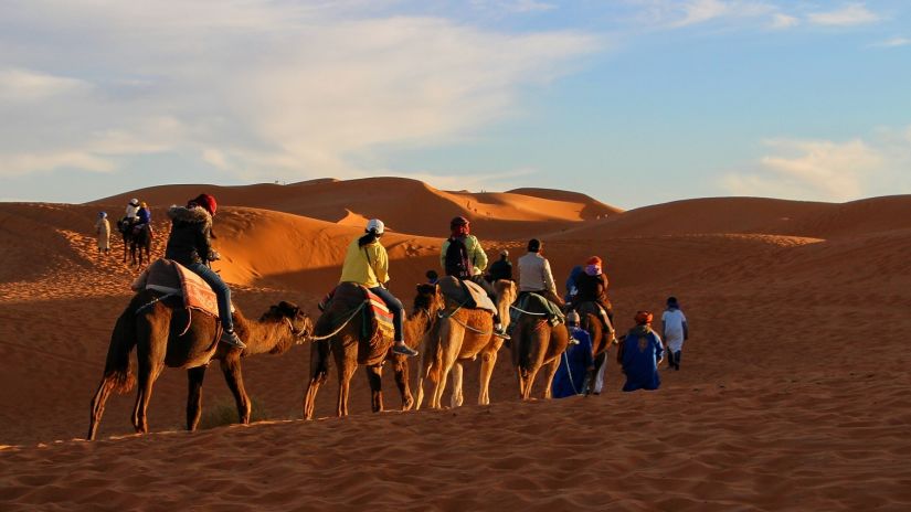 A group of tourists on a camel ride through the desert 