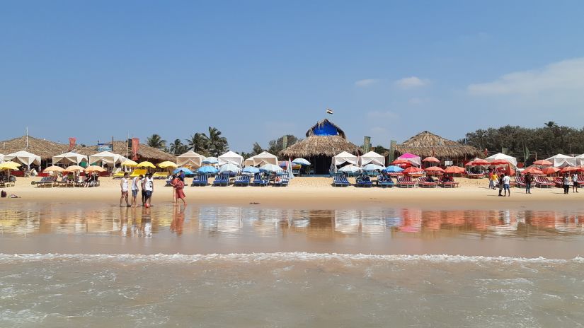 Calangute beach crowded with beach chairs, canopies and shacks - New Year in Goa