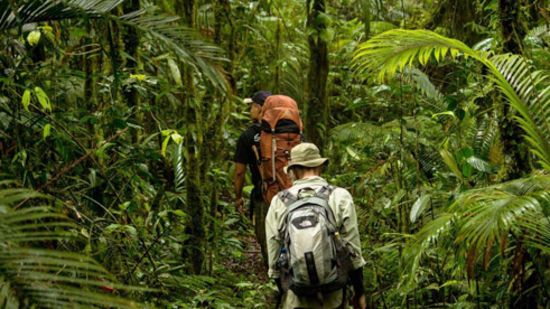 alt-text people going on a jungle trek - Holistic Stay Eco Resort, Kannur