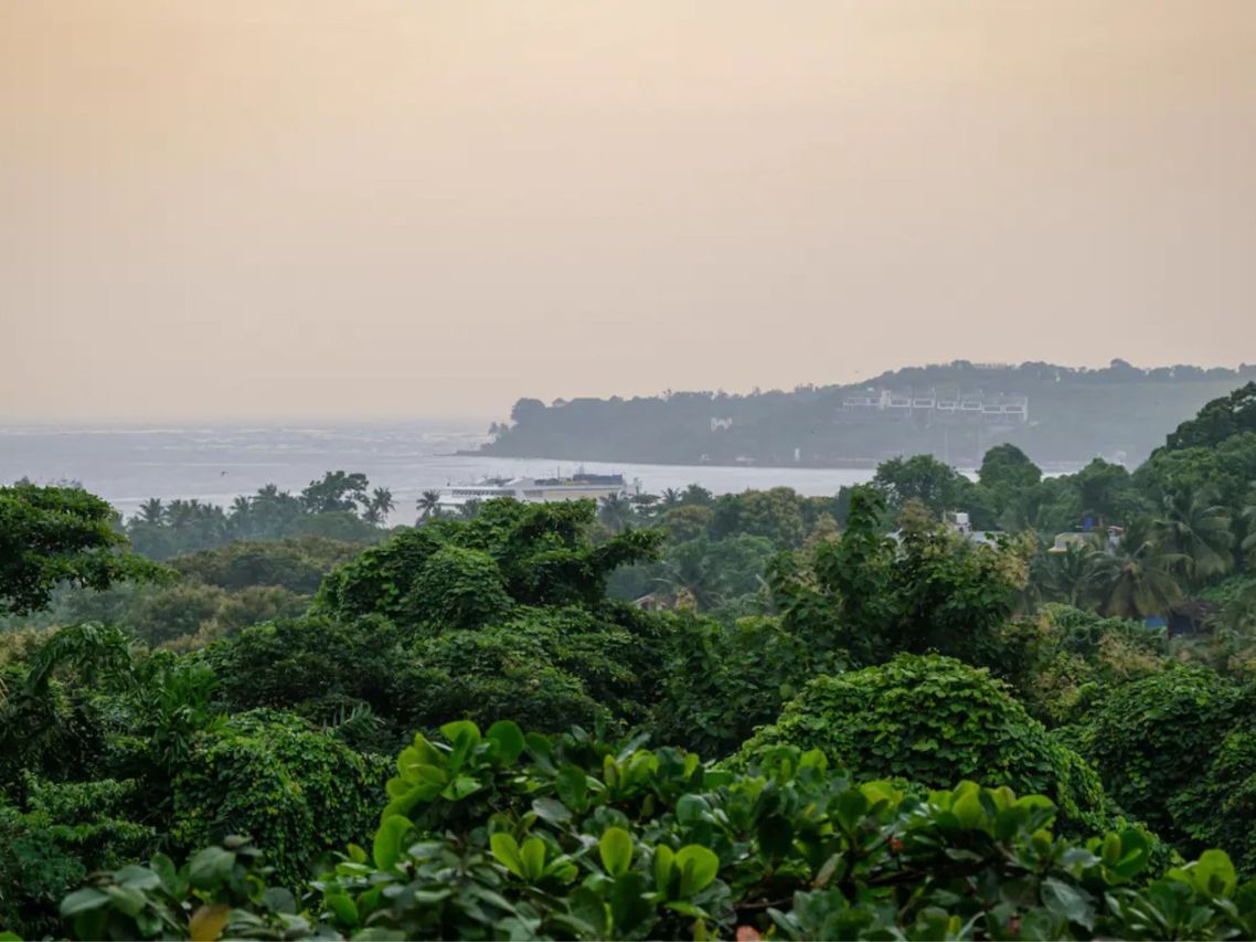 White Castle, Porvorim, Goa - Image of a blanket of trees and river Mandovi in the distance