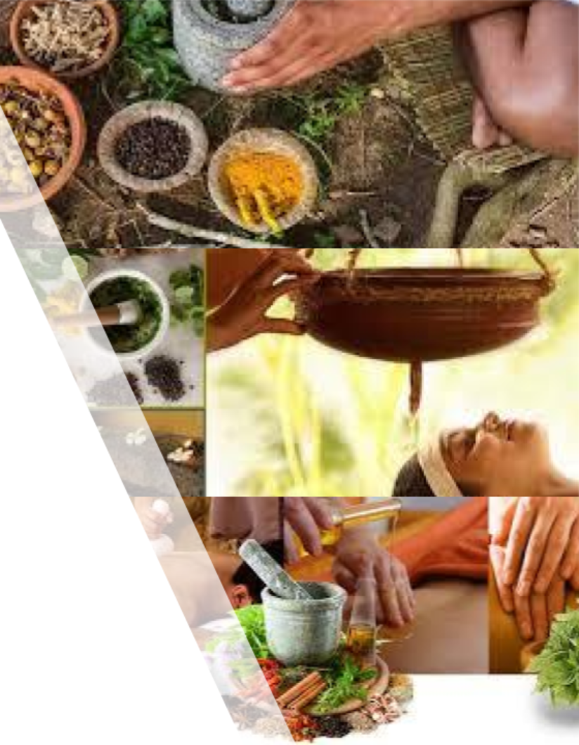 Holistic ayurvedic services and spices